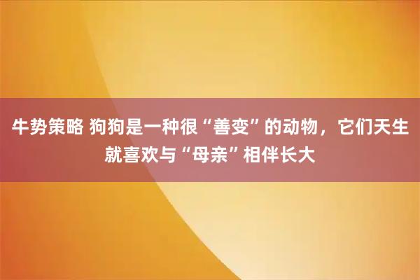 牛势策略 狗狗是一种很“善变”的动物，它们天生就喜欢与“母亲”相伴长大